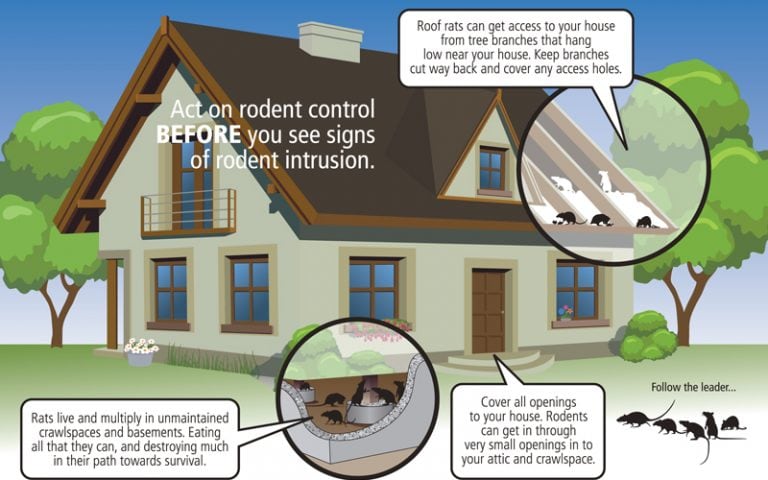 cascade act on rodent control