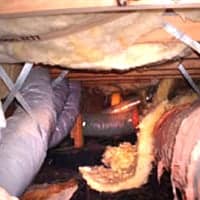 rodents destroy crawlspace