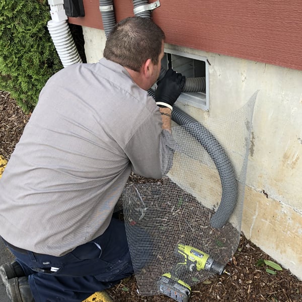 rodent exclusion crawlspace screening