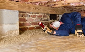 crawl space inspection