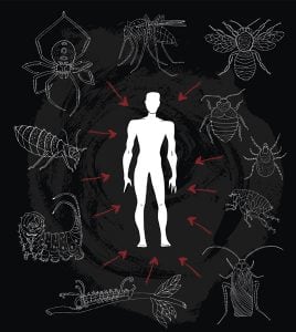 man insects