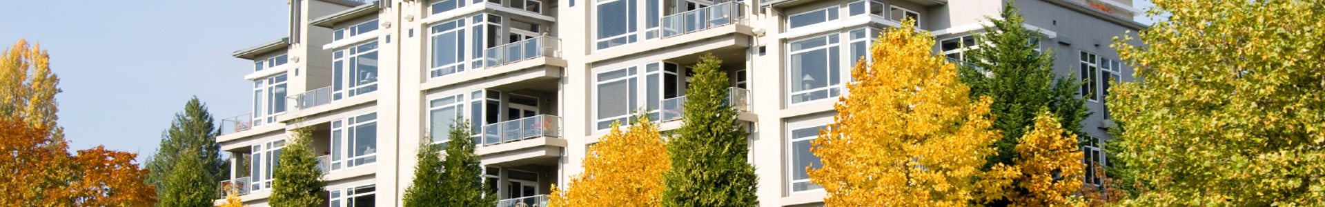 Cascade Pest Control for Property Management in Seattle Puget Sound