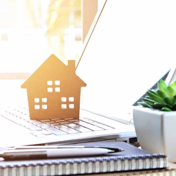pest control seattle wa paratex pest property management pest control in the seattle region pest control seattle wa paratex pest property management pest control in the seattle region