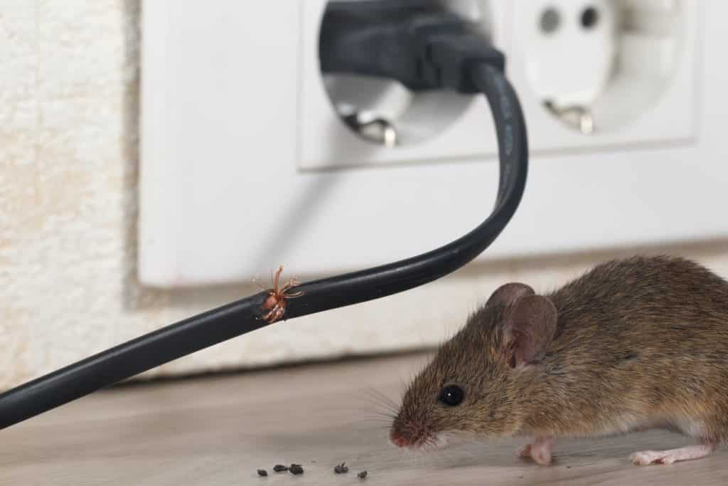 mouse control