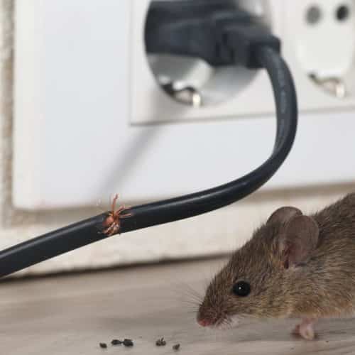 mouse control