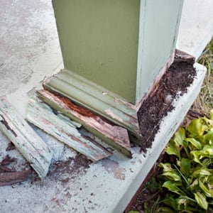 termite damage