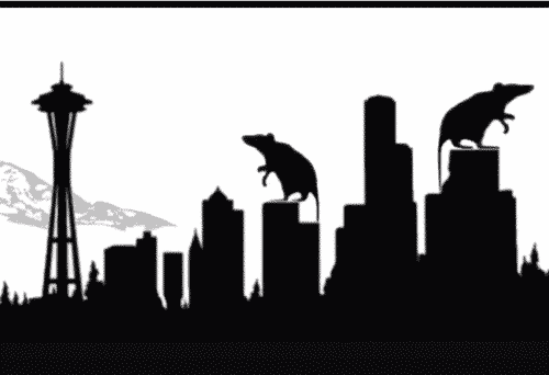 seattle rodents