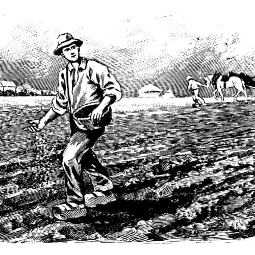 pest control history started with farming