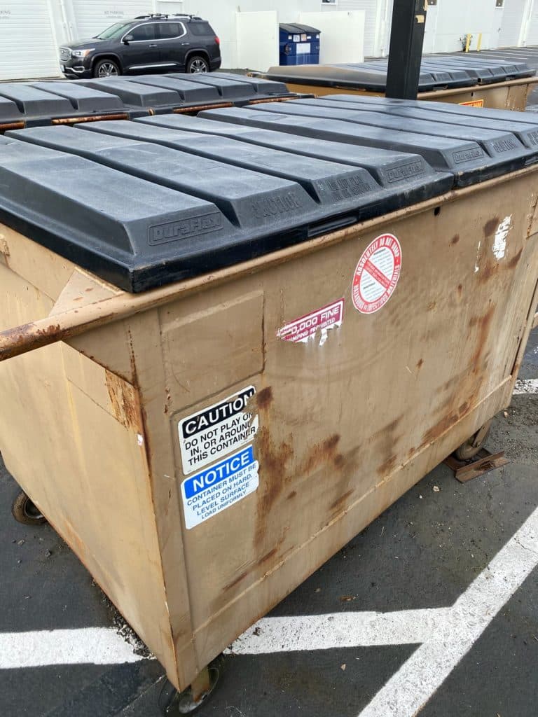 Dumpsters attract and sustain rats
