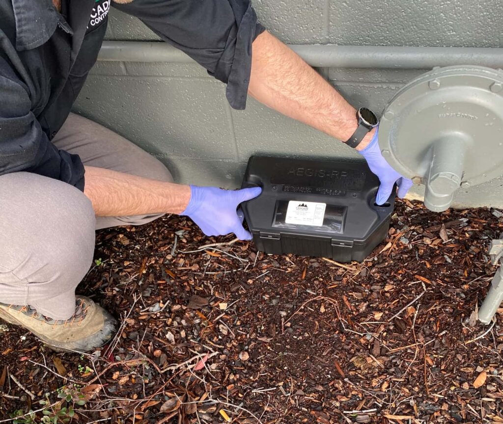 Cascade Pest Control technician setting rodent trap