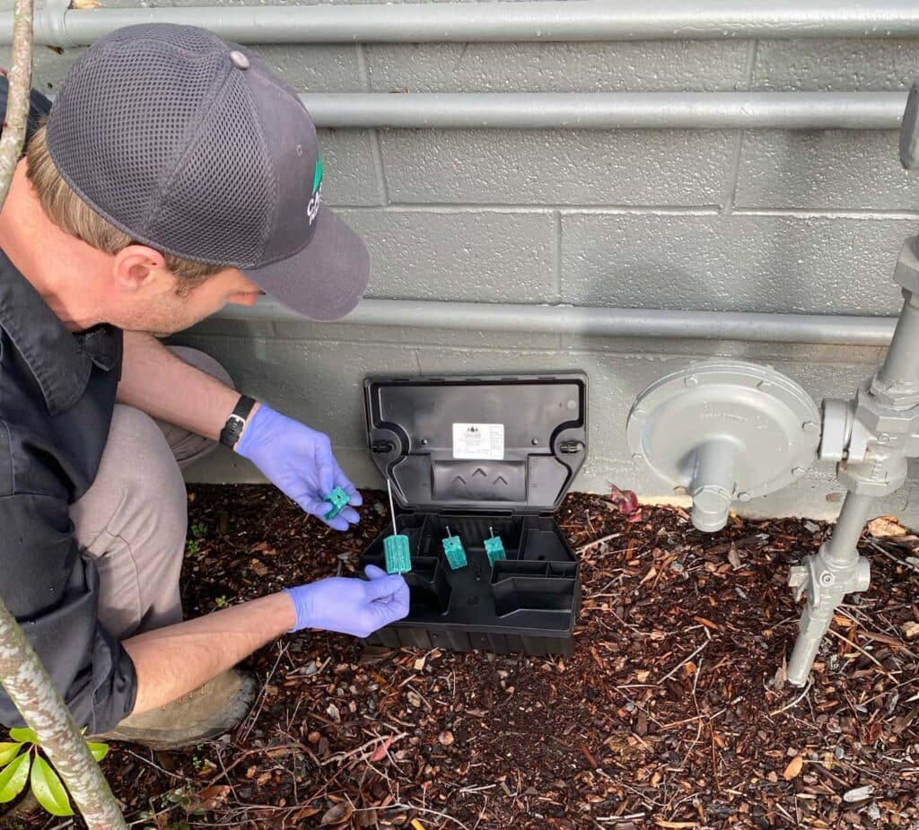 Cascade Pest Control technician setting rodent trap