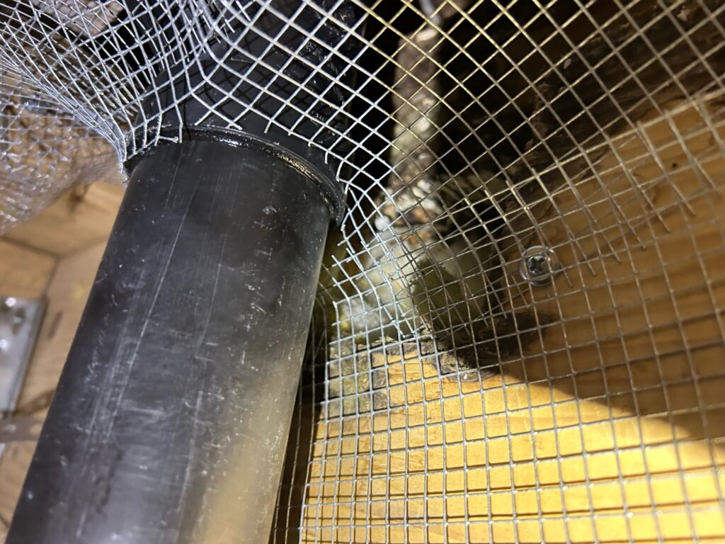Cascade Rodent Control inspection