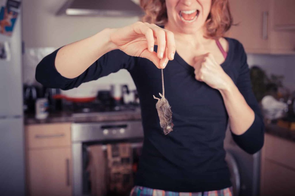 Controtion Mouse Understanding Mouse Behavior for Effective Mice Control