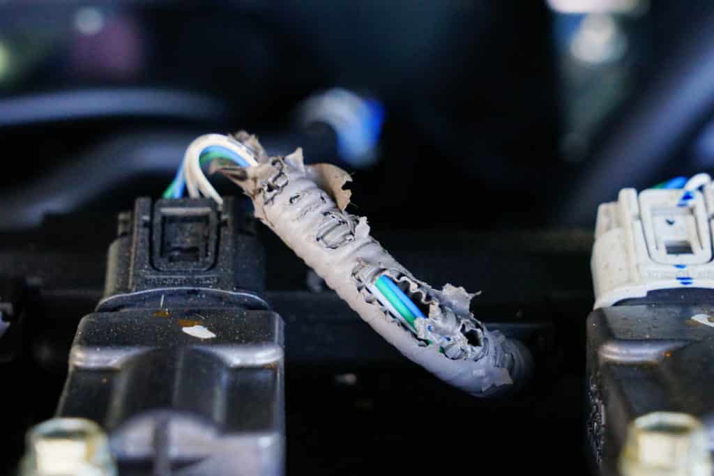 Rodent Chewed Through Wires in Car