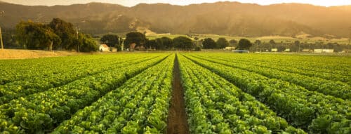 environmentally safe pest management