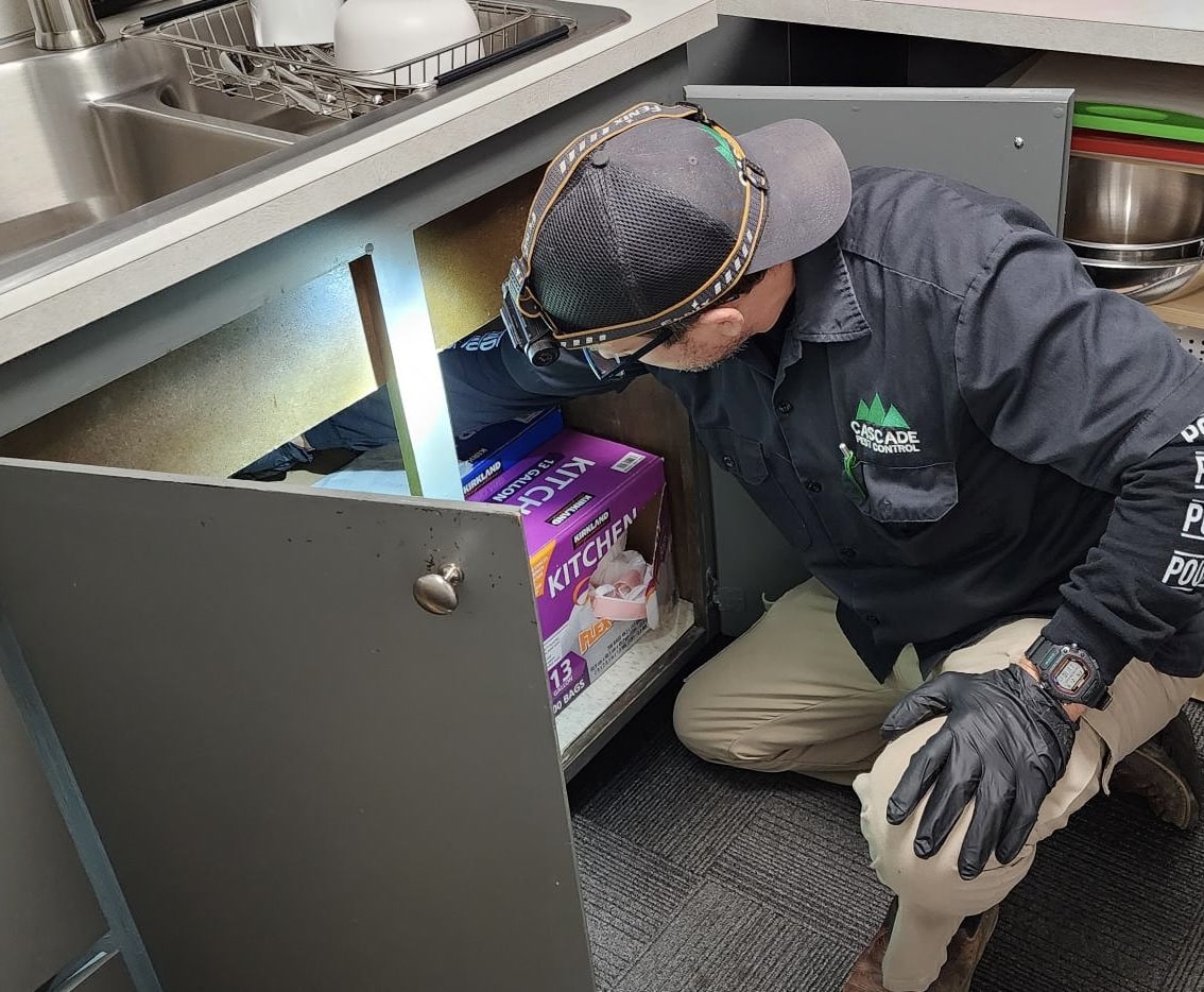 Cascade Pest Control technician