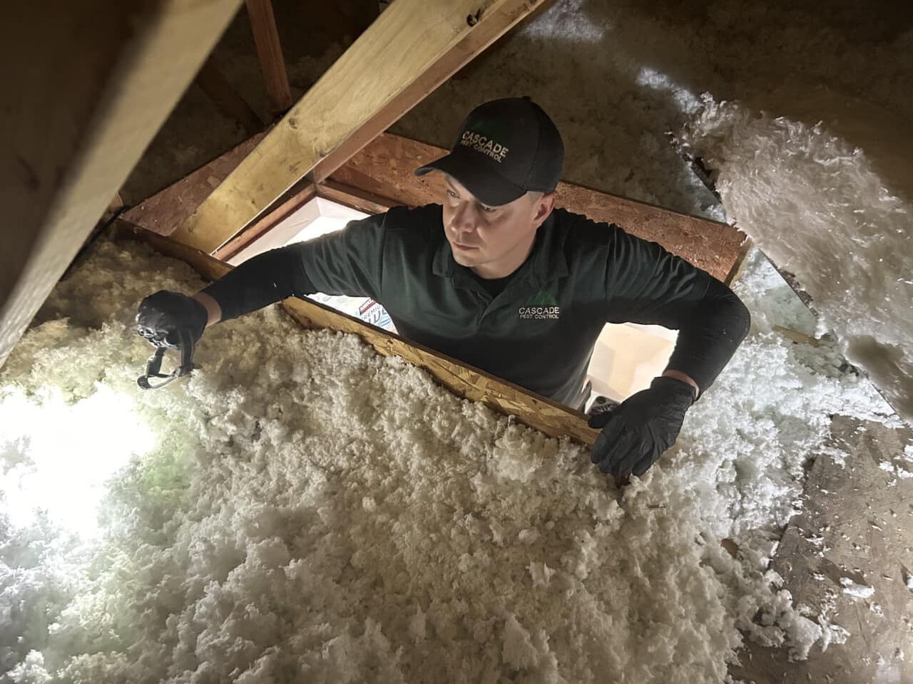 Award Winning Cascade Pest Control - About Us