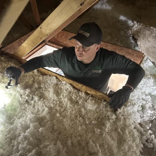 Cascade pest technician on site