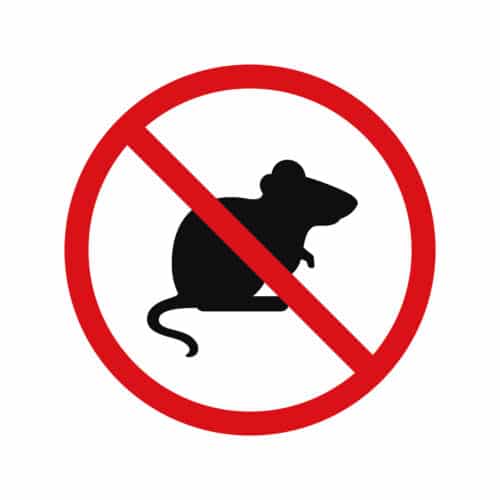 no rodents icon sign - Cascade Pest Control