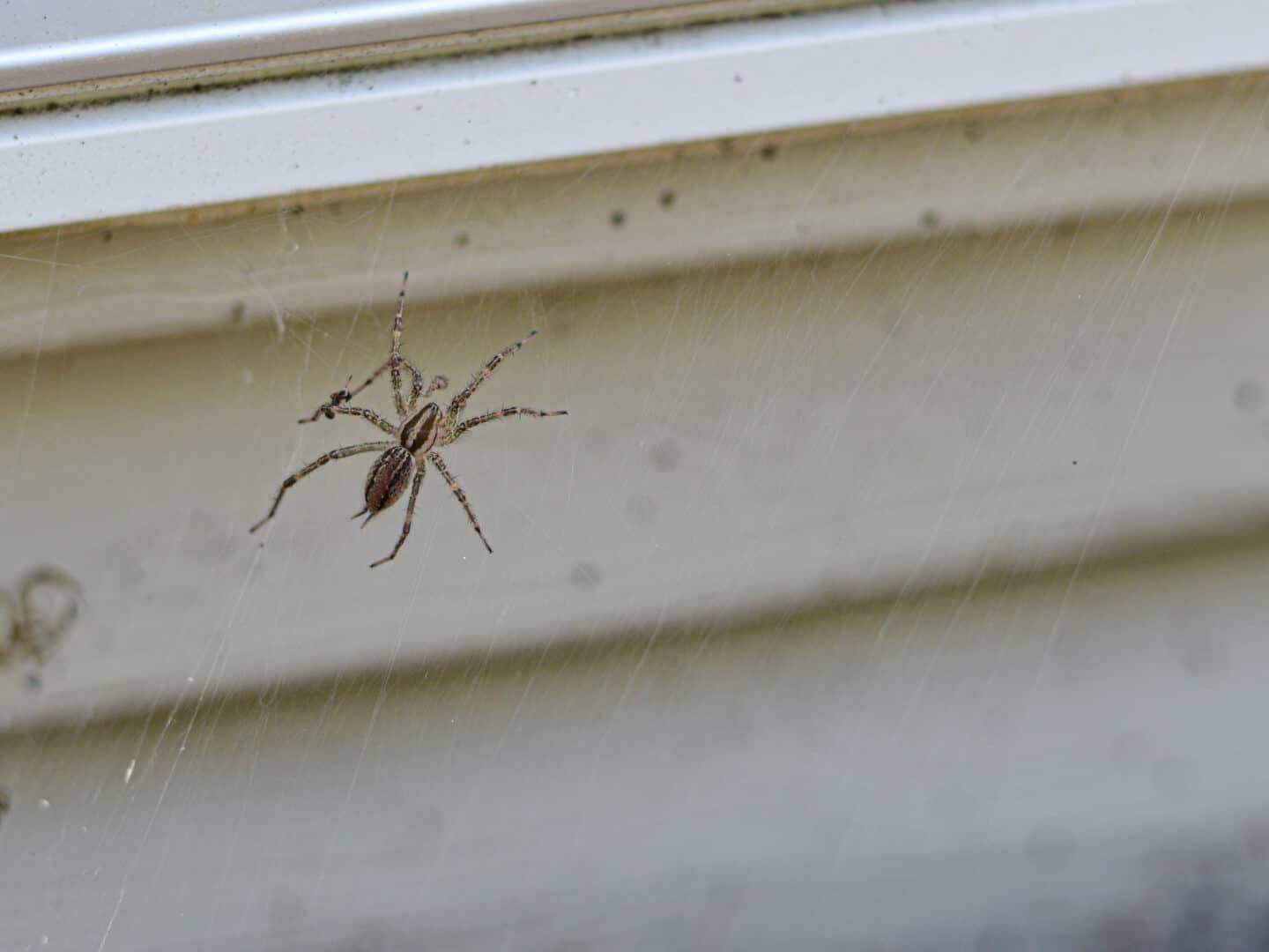 Cascade Pest Control