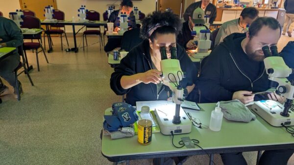 ant identifying workshop with Dr. Laurel Hansen - Cascade Pest Control